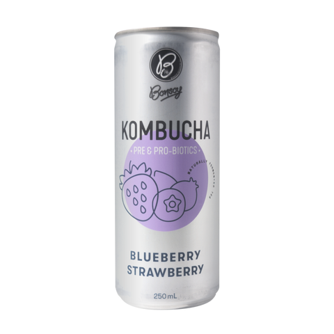 Kombucha Blueberry Strawberry 250ml