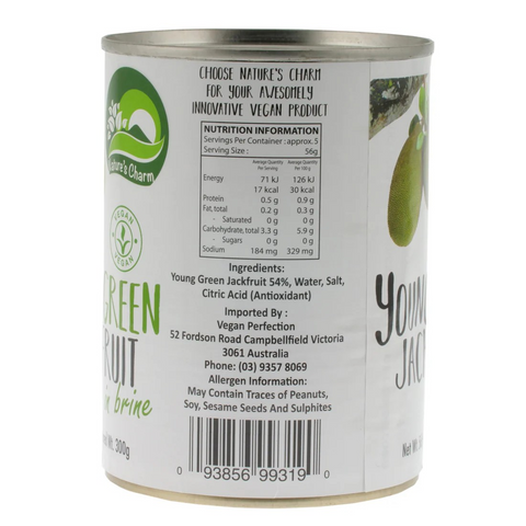 Nature's Charm Young Green Jackfruit 565g