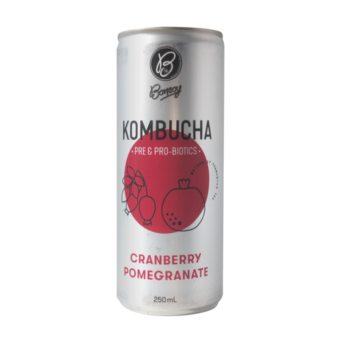 Kombucha Cranberry Pomegranate 250ml