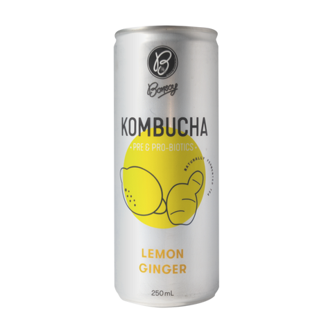 Kombucha Lemon Ginger 250ml