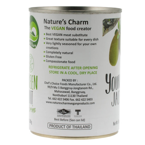 Nature's Charm Young Green Jackfruit 565g